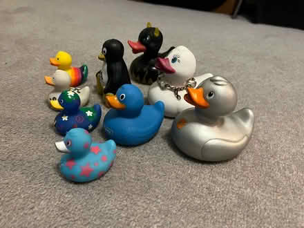 Photo of free Rubber Duck Collection (Clapham North SW4) #2