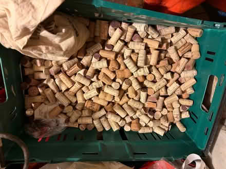 Photo of free Large number of corks (Coley Ave Area RG1) #1