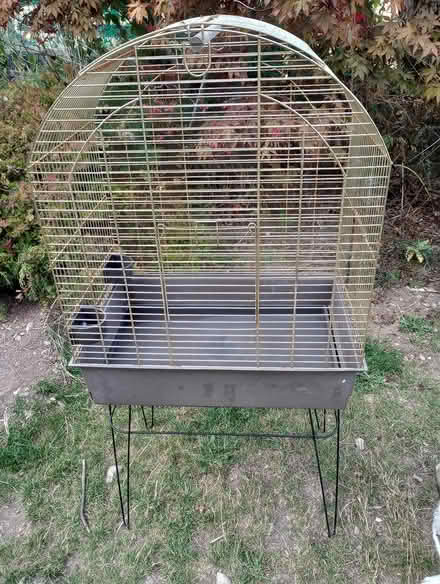 Photo of free Large brass bird cage (Llanferres, Nr.Mold. CH7) #1