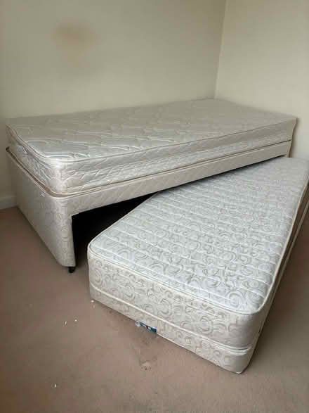 Photo of free Single bed with additional underbed (Rowlands Castle PO9) #1
