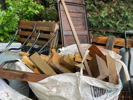Photo of free Wood for Bonfire Night (TQ12 4SN) #1
