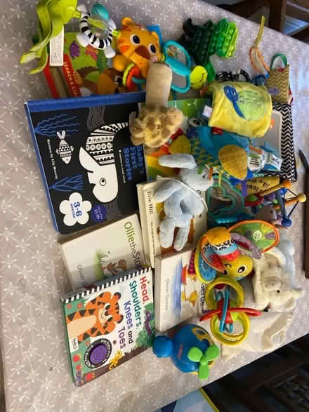 Photo of free Large collection of books, toys, rattles for 0-6months (Penrith CA11) #1