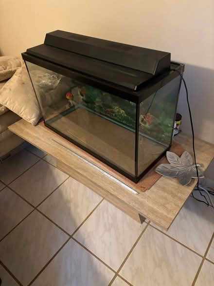 Photo of free Fish Aquarium (w/air pump & filter) (Delray Beach, FL) #1