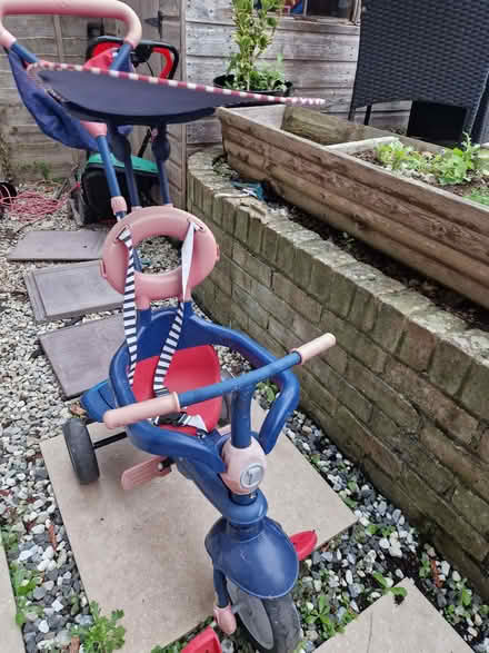 Photo of free Trike (Portslade Village BN41) #1