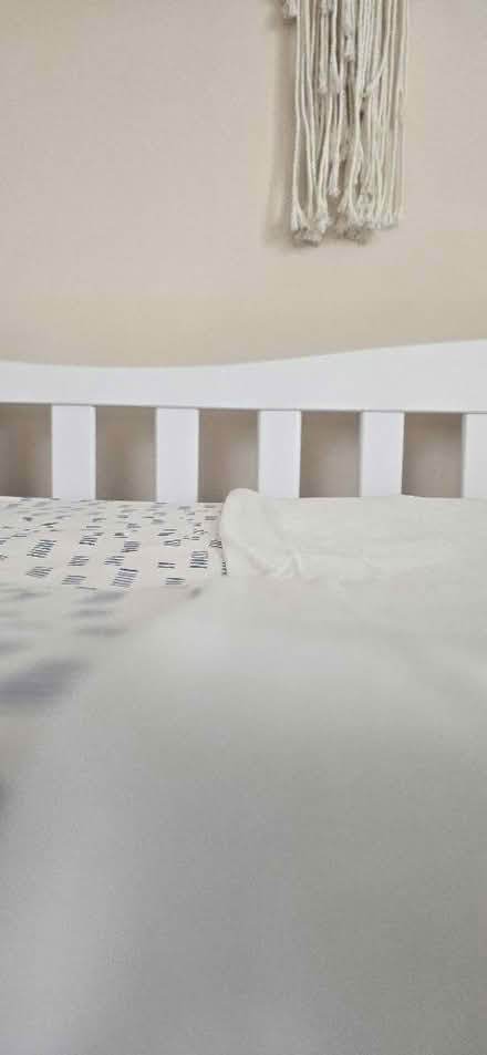Photo of free Cot bed mattress - not for babies (Panshanger AL7) #3