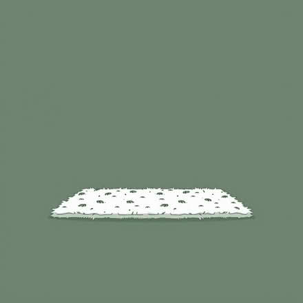 Photo of free Clean but used carpet (Chichester PO19) #1