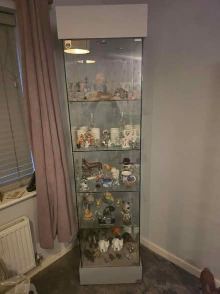 Photo of free Glass display cabinet (Royston SG8) #1