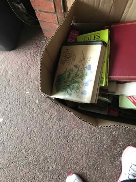 Photo of free Books (South Wimbledon, SW19 SW19) #4