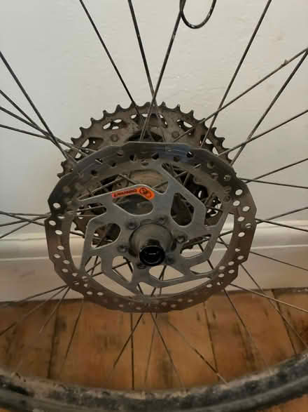 Photo of free Two 27.5 gravel wheels with tyres and rotors (Steyning BN44) #4