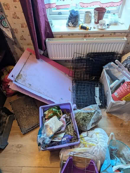 Photo of free Indoor guinea pig set up (morecambe LA4) #1