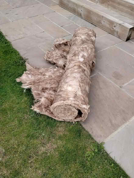 Photo of free Insulation (Chester le Street DH2) #1