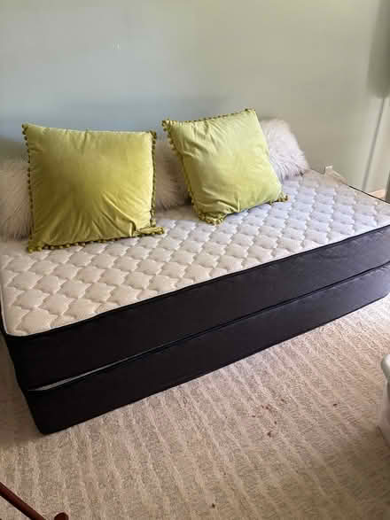 Photo of free 2 twin mattresses (Whitemarsh Island) #1