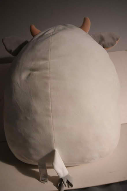 Photo of free Squishmallow style cow (Gosport PO12 (town)) #2