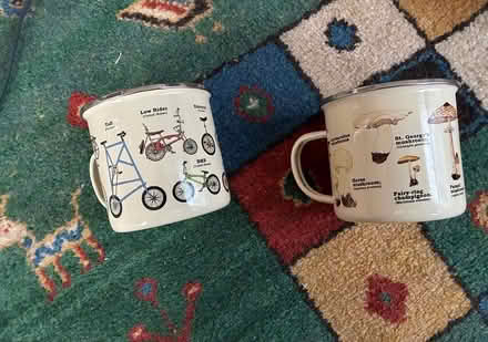 Photo of free Three cool cups (Midtown Kingston) #1