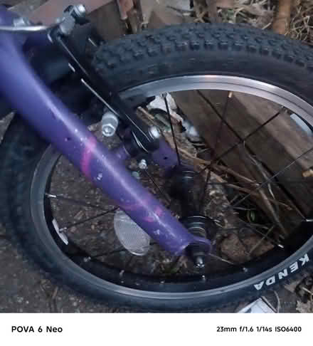 Photo of free Bike for up to 6year old (AL10 Hatfield) #3
