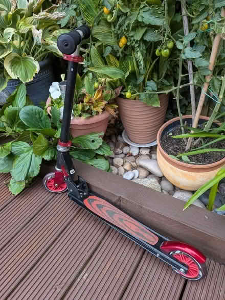Photo of free Scooter (Lower Earley RG6) #1