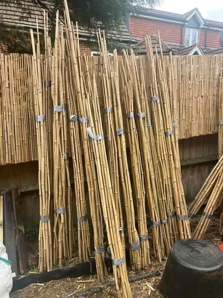 Photo of free Bamboo canes (central caversham) #1