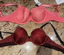 Photo of free Two bras (Tamarac-Pine Island /McNab) #1