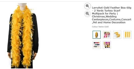 Photo of free Feather boa (gold) (Cambridge CB4) #1