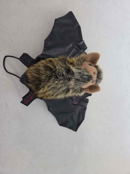 Photo of free Halloween items (Barkingside IG5) #2