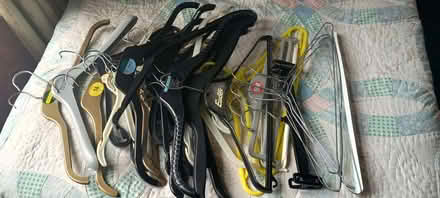 Photo of free Coat hangers (Colyford EX24) #1