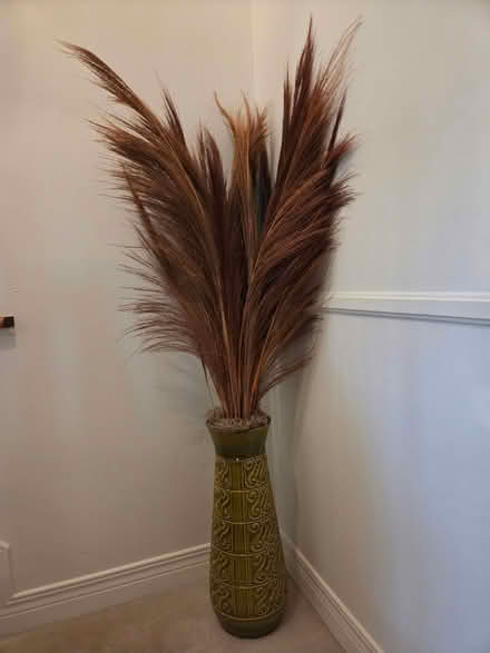 Photo of free Frond Decoration (Uplands / Riverside) #1