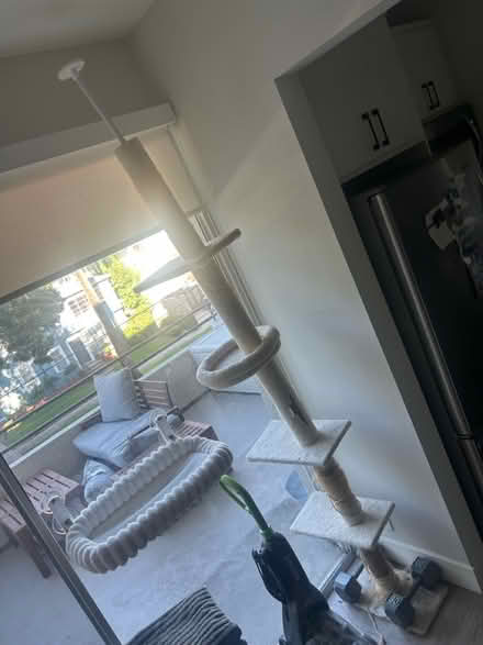 Photo of free Cat tree floor to ceiling (Hollywood/Los Feliz) #1