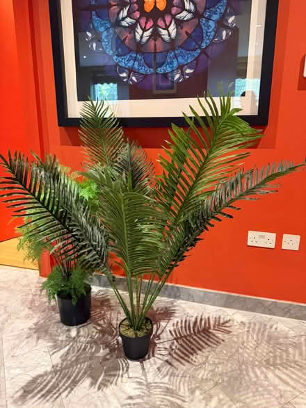 Photo of free 2 Artificial (Fake) Deco Plants 🌿 (Soho square) #1