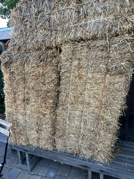 Photo of free two hay bales (Lawrence/ El Camino Real) #1