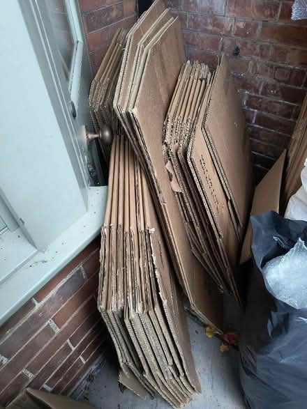 Photo of free Bubble wrap/Tissue paper/Moving boxes (Rodwell DT4) #3
