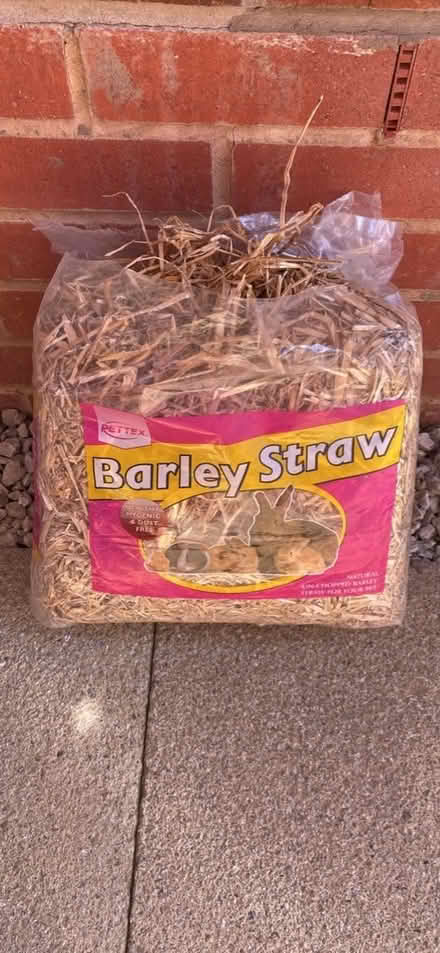 Photo of free Barley Straw (Morton LN6) #1