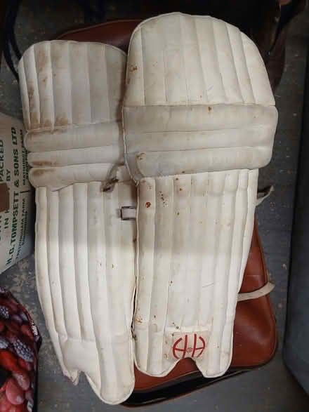 Photo of free Cricket pads (West Dean SP5) #1