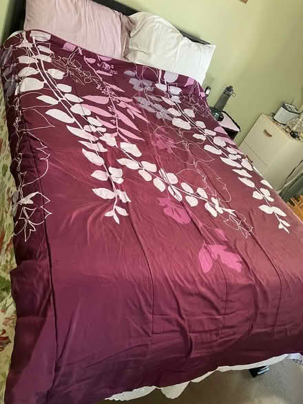 Photo of free Twin size bed comforter blanket (Las Palmas Pk, Snvle) #1