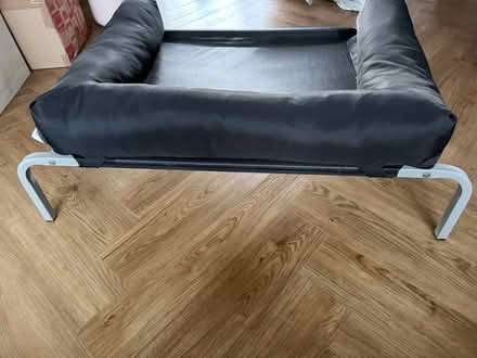 Photo of free Raised dog bed (Peasedown St John BA2) #2