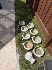 Photo of free Outdoor Fountain (Tamarac-Pine Island /McNab) #1