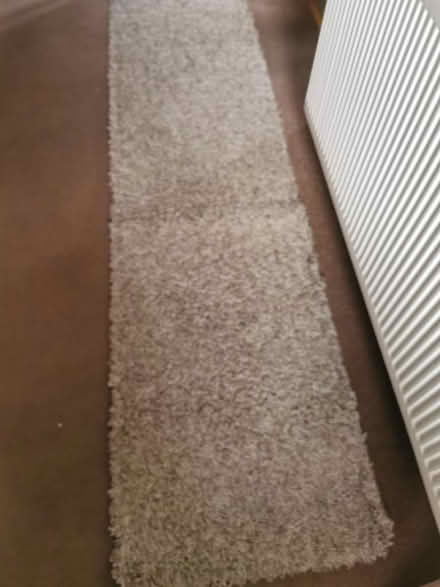 Photo of free Rug (Llansilin SY10) #1