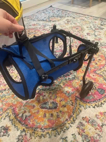 Photo of free Dog wheelchair (Colindale NW9) #1