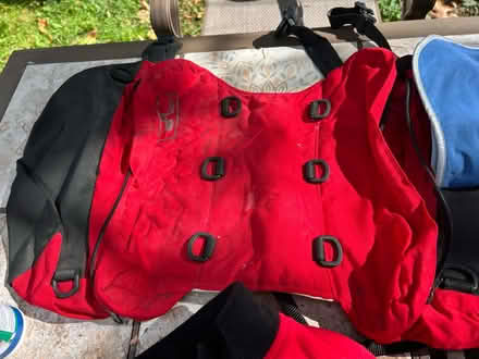 Photo of free Med-lg dog supplies (Lunenburg) #2