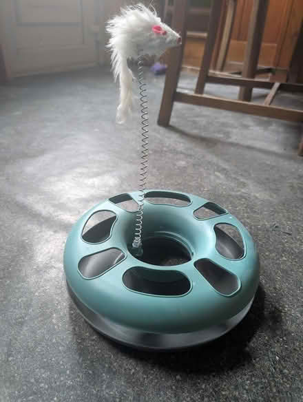 Photo of free Cat toy (Waterloo OL7) #1