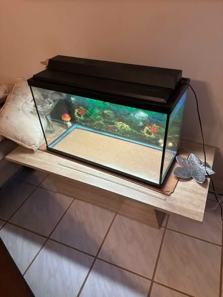 Photo of free Fish Aquarium (w/air pump & filter) (Delray Beach, FL) #2