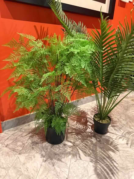 Photo of free 2 Artificial (Fake) Deco Plants 🌿 (Soho square) #2