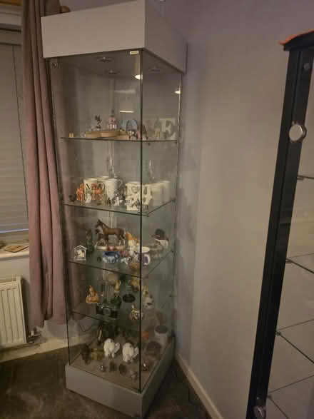 Photo of free Glass display cabinet (Royston SG8) #2