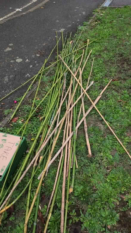Photo of free Bamboo poles (ME14 2PX) #1