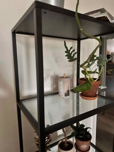 Photo of free Metal frame Shelves (swiss cottage NW3) #3