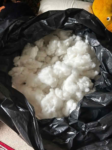 Photo of free Craft stuffing (Abraham Heights LA1) #1
