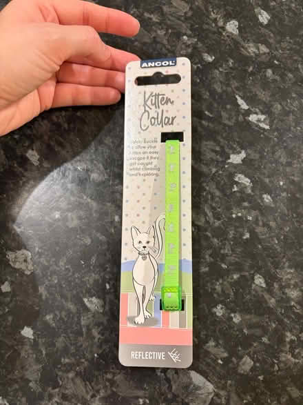 Photo of free Reflective kitten collar (Oughtibridge S35) #1