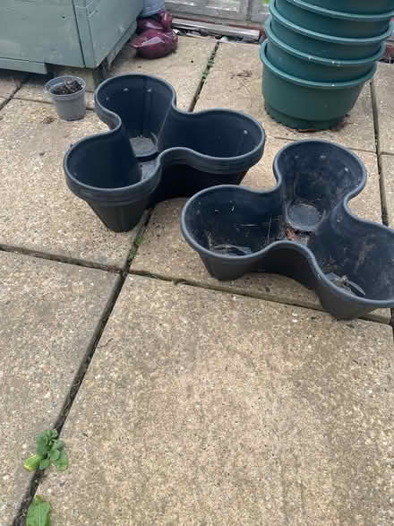 Photo of free Strawberry planters x 4 (Caister-on-Sea NR30) #1