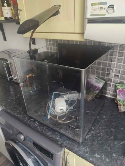 Photo of free 55ltr Fish Tank Without Stand (Riddlesden BD20) #1