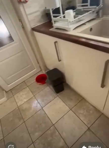 Photo of free Kitchen cupboards & counter (Hazel Grove SK7) #3