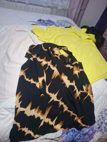 Photo of free Womens clothing size 8 (Penrith CA11) #3